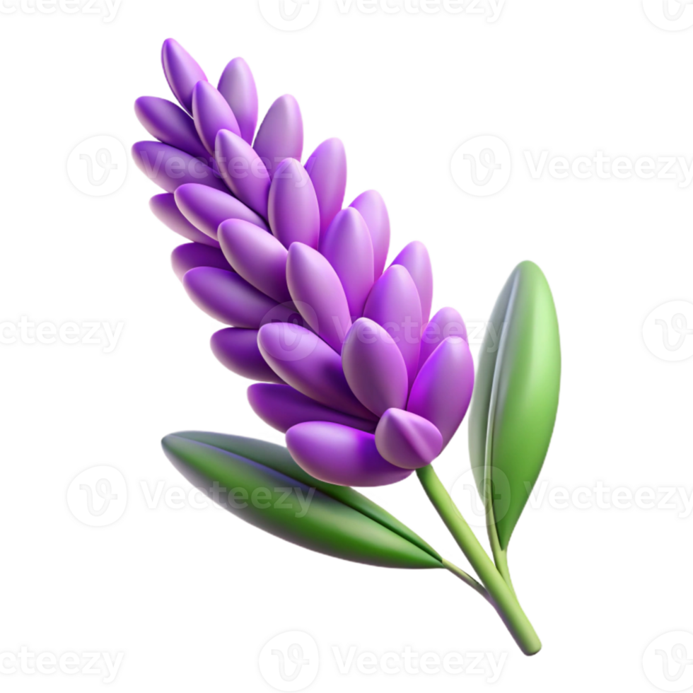 impressive contemporary Lavender Sprig with Purple Flowers Transparent Cutout 4K png