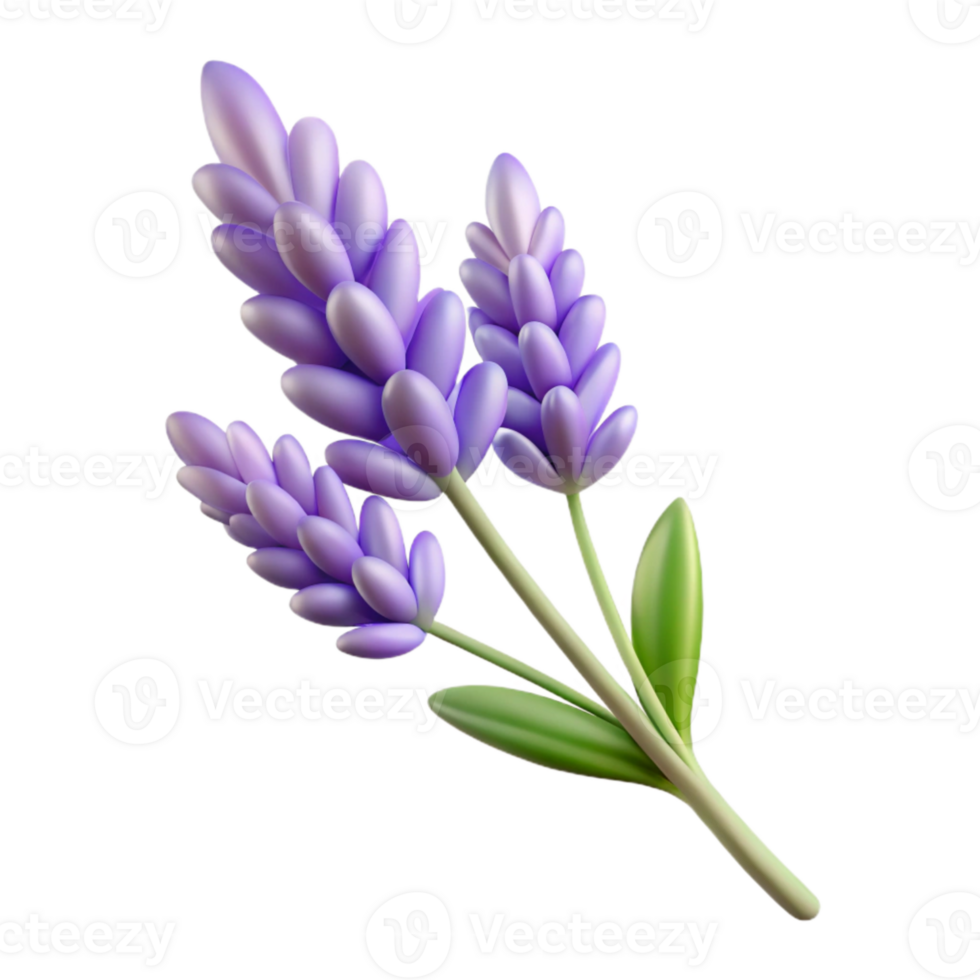 extraordinary creative Lavender Sprig with Flowers Transparent Background authentic png