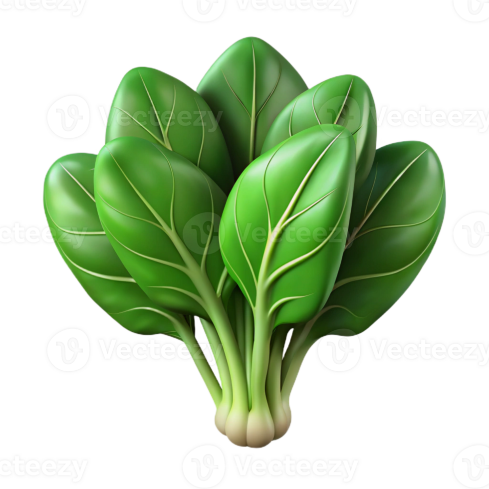 magnificent rustic Leafy Green Spinach Bunch Transparent Background 4K png
