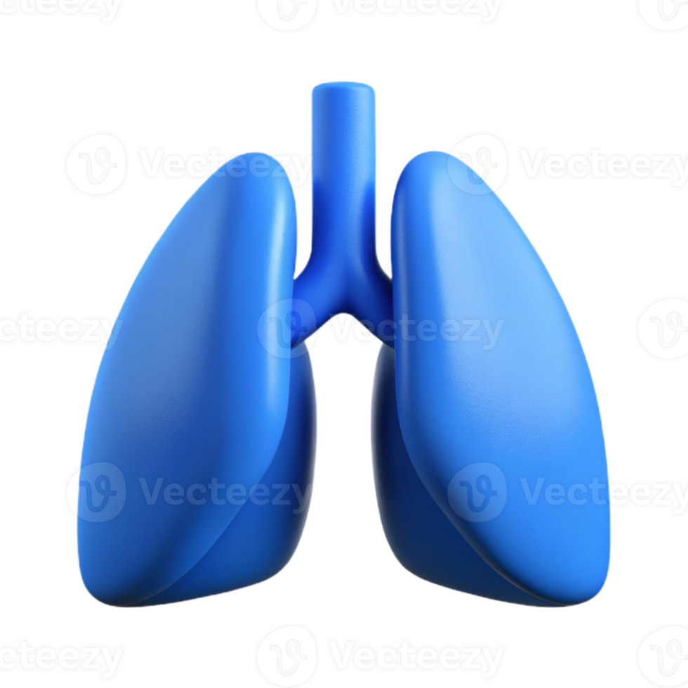 serene rustic Lungs Icon Blue Isolated Cutout detailed png