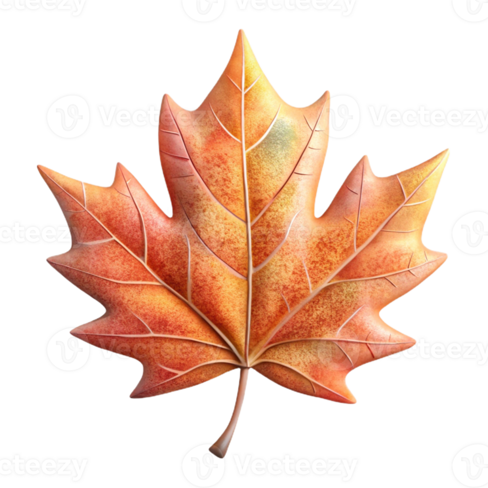 stunning modern Maple Leaf Autumn Colors Close Up Transparent Background authentic png