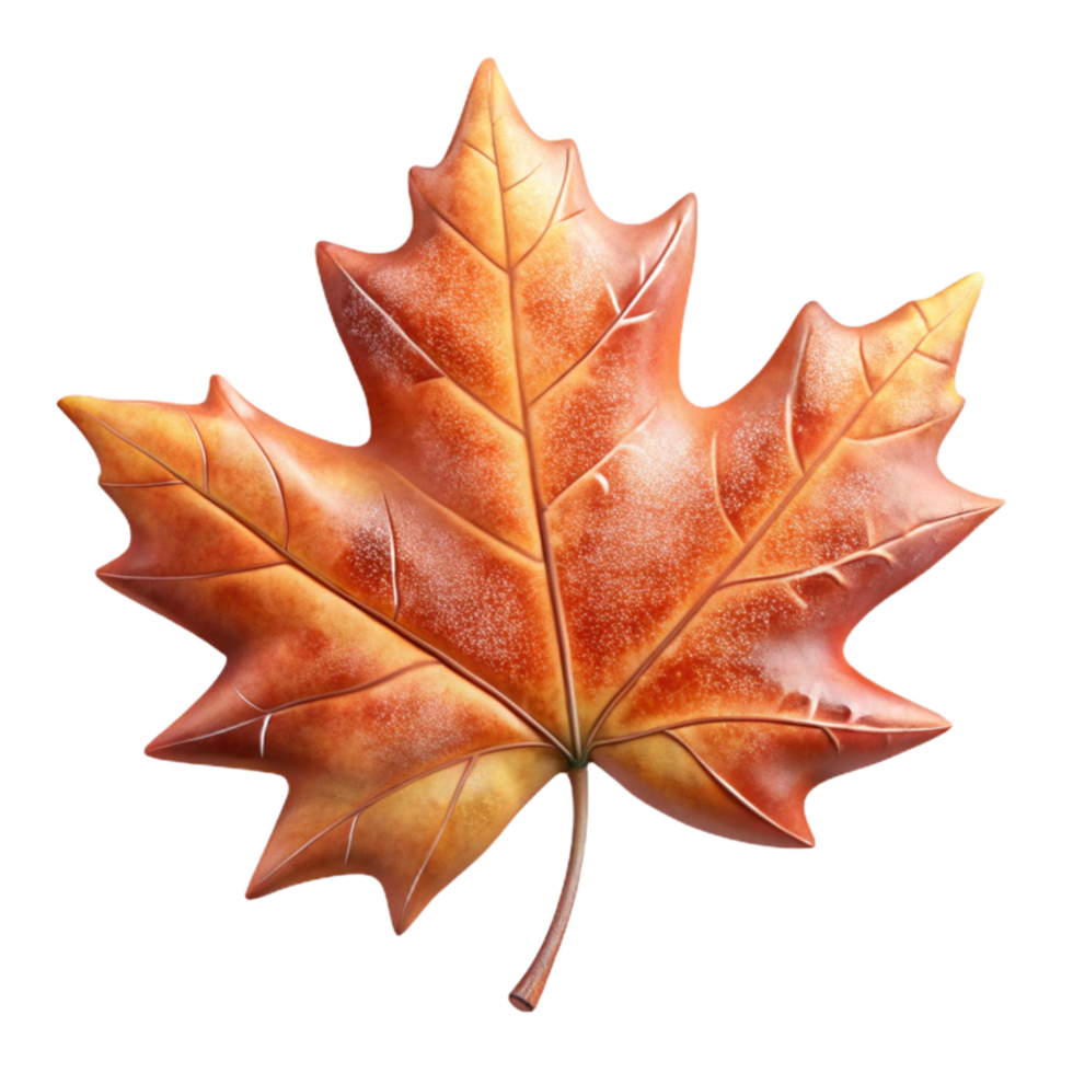 extraordinary creative Maple Leaf Autumn Colors Close Up Transparent Background high resolution png