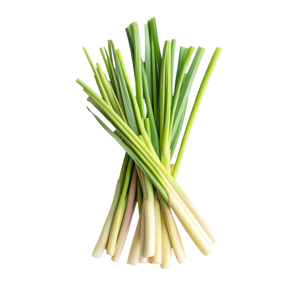 Fresh lemongrass bunch on a transparent background showcasing vibrant green and pale yellow stalks for culinary use, fresh slice lemongrass on transparent background png