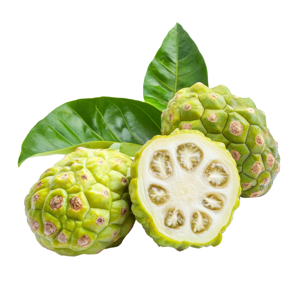 Noni fruit and leaves isolated on a clean transparent background showcasing its unique texture and vibrant green color, Noni fruit isolated on transparent background png