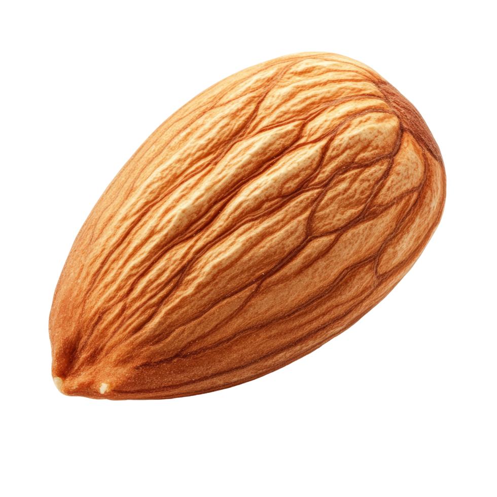 Fresh almond on a transparent background showcasing its natural transparent color and textured surface details, Almond on transparent background png