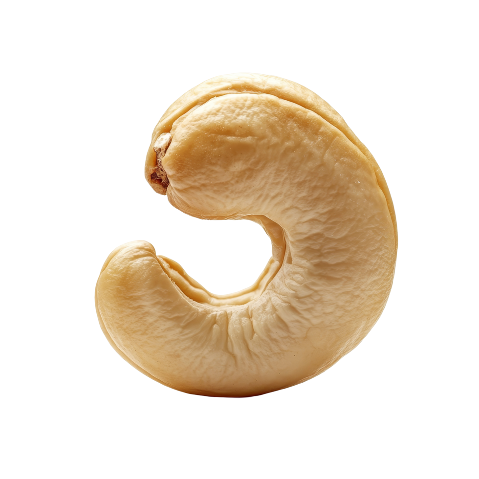 A closeup view of a raw cashew nut showcasing its unique shape and texture against a clean transparent background, cashew nut on transparent background png