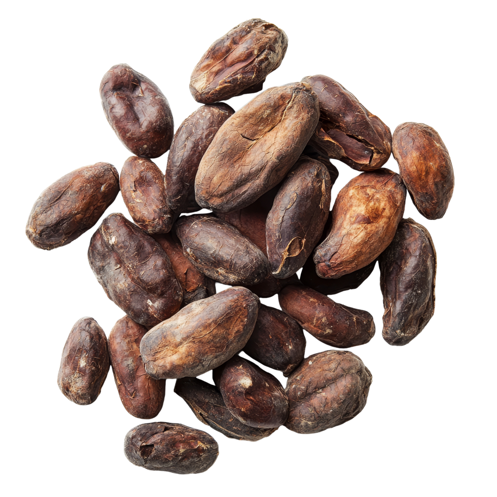 Dried cocoa beans arranged on a clean transparent background showcasing their rich color and texture, Dried Cocoa beans isolated on transparent background png