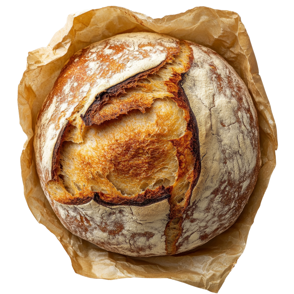 Isolated view of round sourdough bread baked to perfection on parchment paper, Sourdough bread isolated png