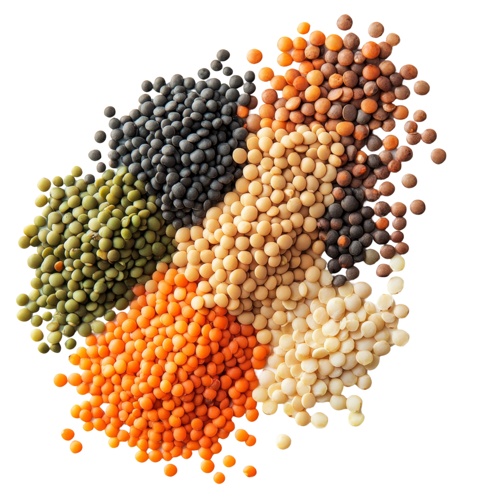 A variety of lentils in different colors spread out on a transparent background highlighting their nutritional diversity, lentils on transparent background png