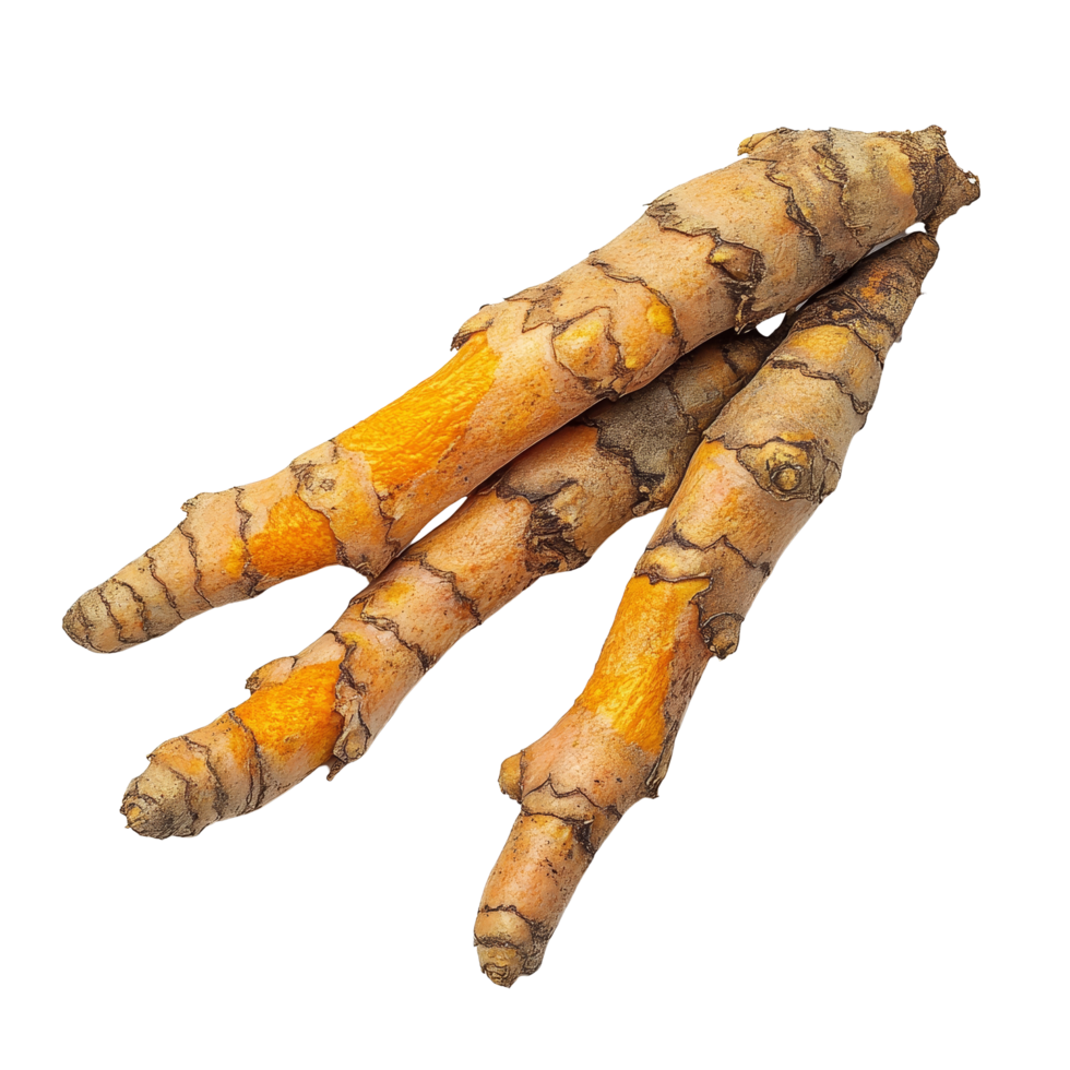 Curcuma xanthorrhiza roots showcasing natural texture and vibrant color on a clean transparent surface, Curcuma xanthorrhiza Roxb. Wanchakmotluk on transparent background png