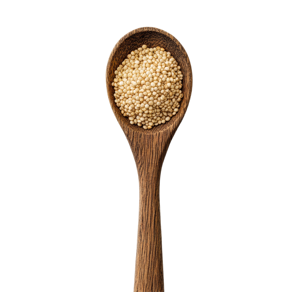 Spoonful of quinoa on a wooden spoon resting against a clean transparent background, Quinoa in a wood spoon on transparent background png