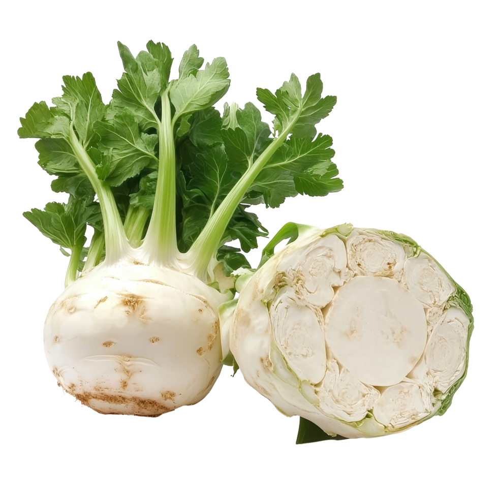 Fresh celeriac with green leaves beside a crosssection revealing its creamy transparent interior on a transparent background, Celeriac transparent background png