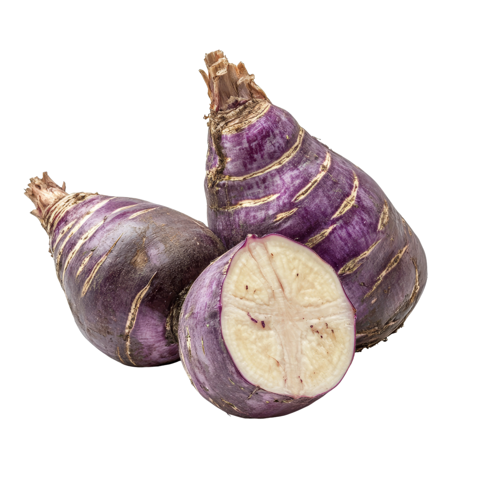 Fresh taro root on transparent background showcasing its purple skin and transparent flesh ideal for culinary use, fresh taro root isolated on transparent background png