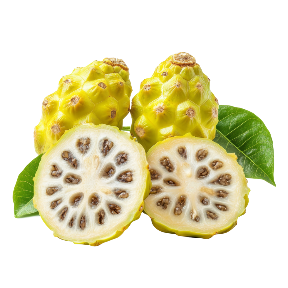 Sliced noni fruits reveal unique interior texture and structure against a clean backdrop, Noni or Morinda Citrifolia fruits with sliced on transparent background png