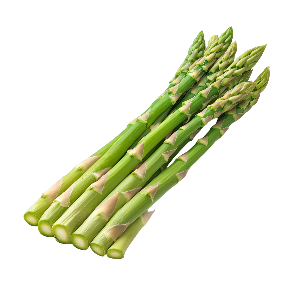 Fresh green asparagus stalks neatly arranged on a transparent background showcasing their vibrant color, Asparagus isolated on transparent background png
