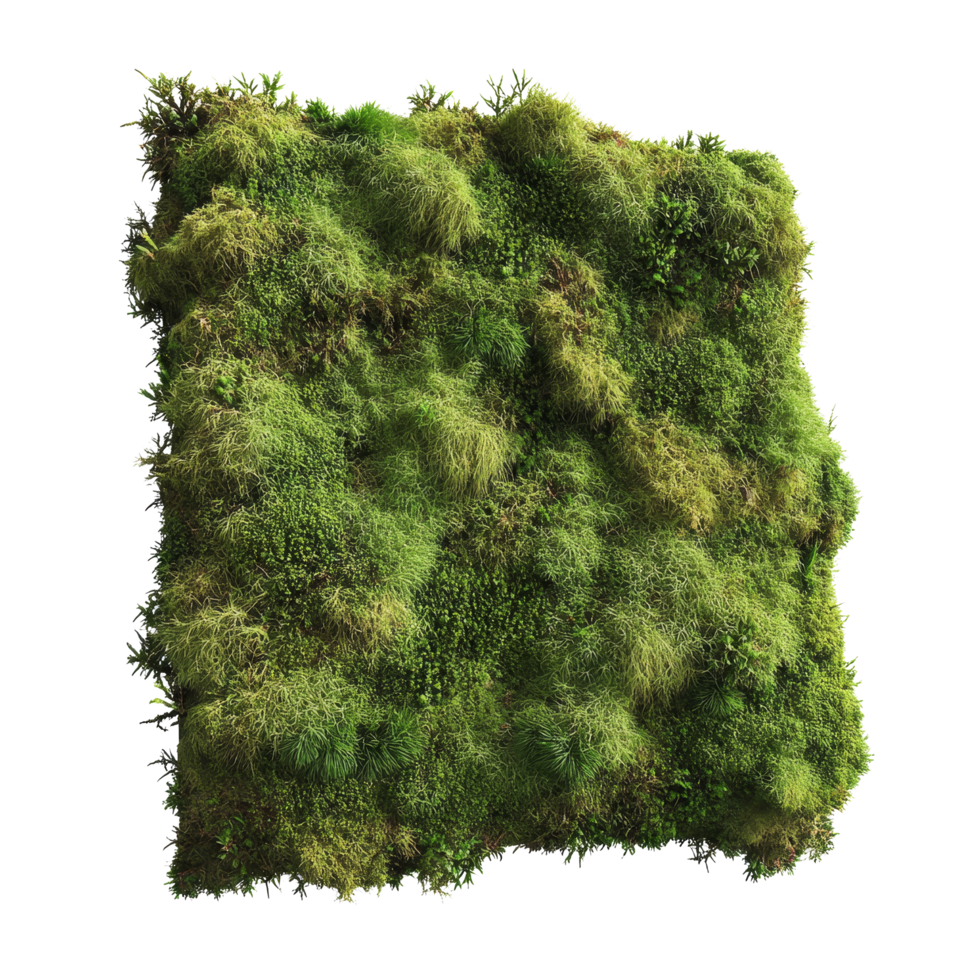 Lush green moss isolated on a transparent background perfect for digital art and naturethemed projects, green moss isolated on tansparent png