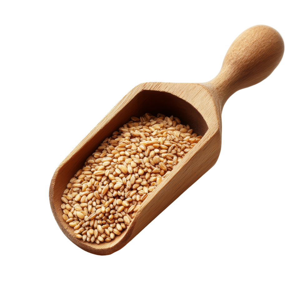 Wheat germ in a wooden scoop on a clean transparent background highlighting natural grains and nutrition, Wheat germ in wood scoop on transparent background png