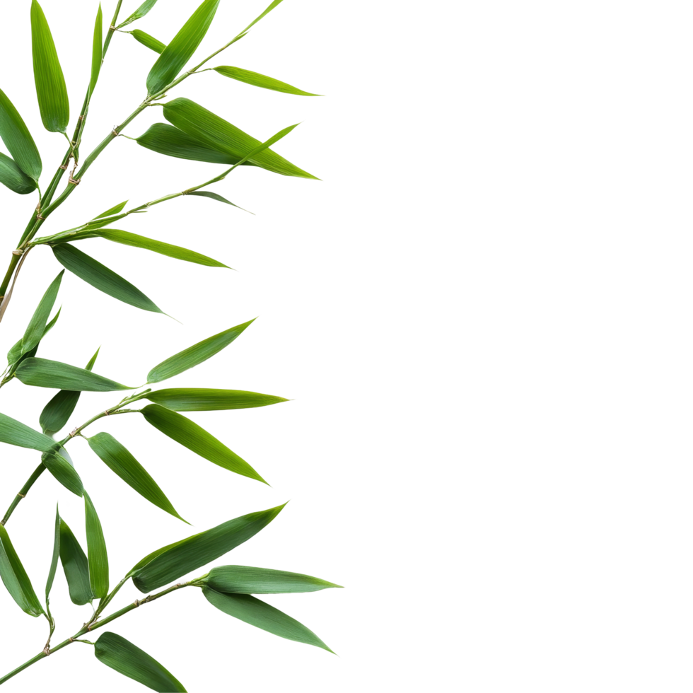 Elegant bamboo leaves arranged on a transparent background capturing natural simplicity and freshness, bamboo leaves on transparent background png