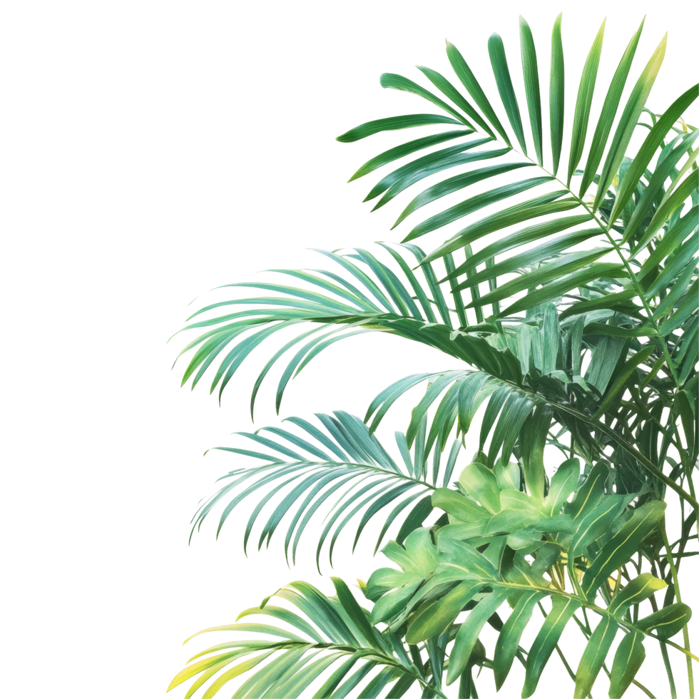 Vibrant green palm tree leaves against a pristine transparent background showcasing natures beauty and freshness, Green leaves of palm tree on transparent backgroundfile png