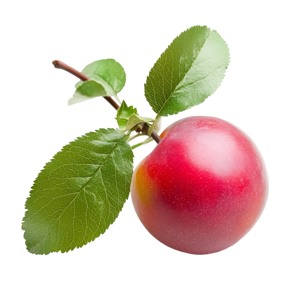 Freshly picked red cherry plum with lush green leaves isolated on a clean transparent background, red cherry plum with green leaves isolated on transparent background png