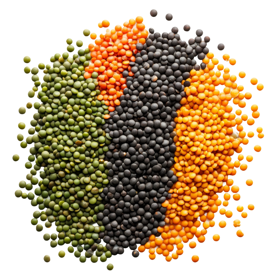 Colorful lentils arranged on a transparent background showcasing their varieties and textures in bright, natural light, lentils on transparent background png