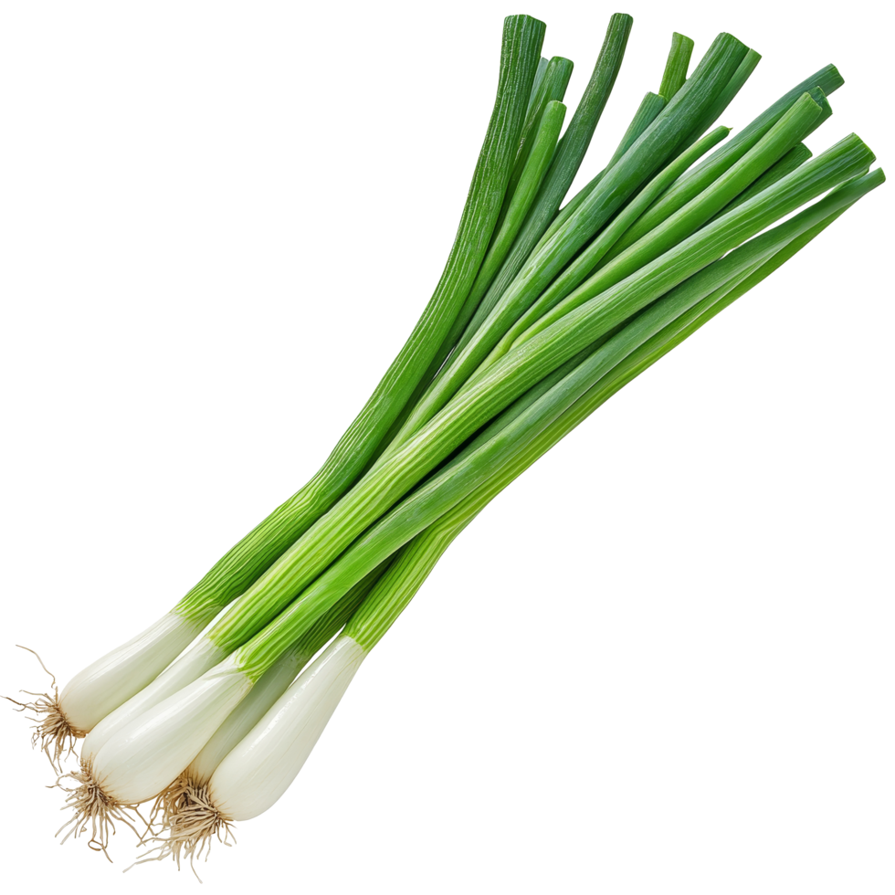 Fresh green onions harvested and arranged on a transparent background for culinary use and recipe demonstration, Green onion isolated on transparent background png