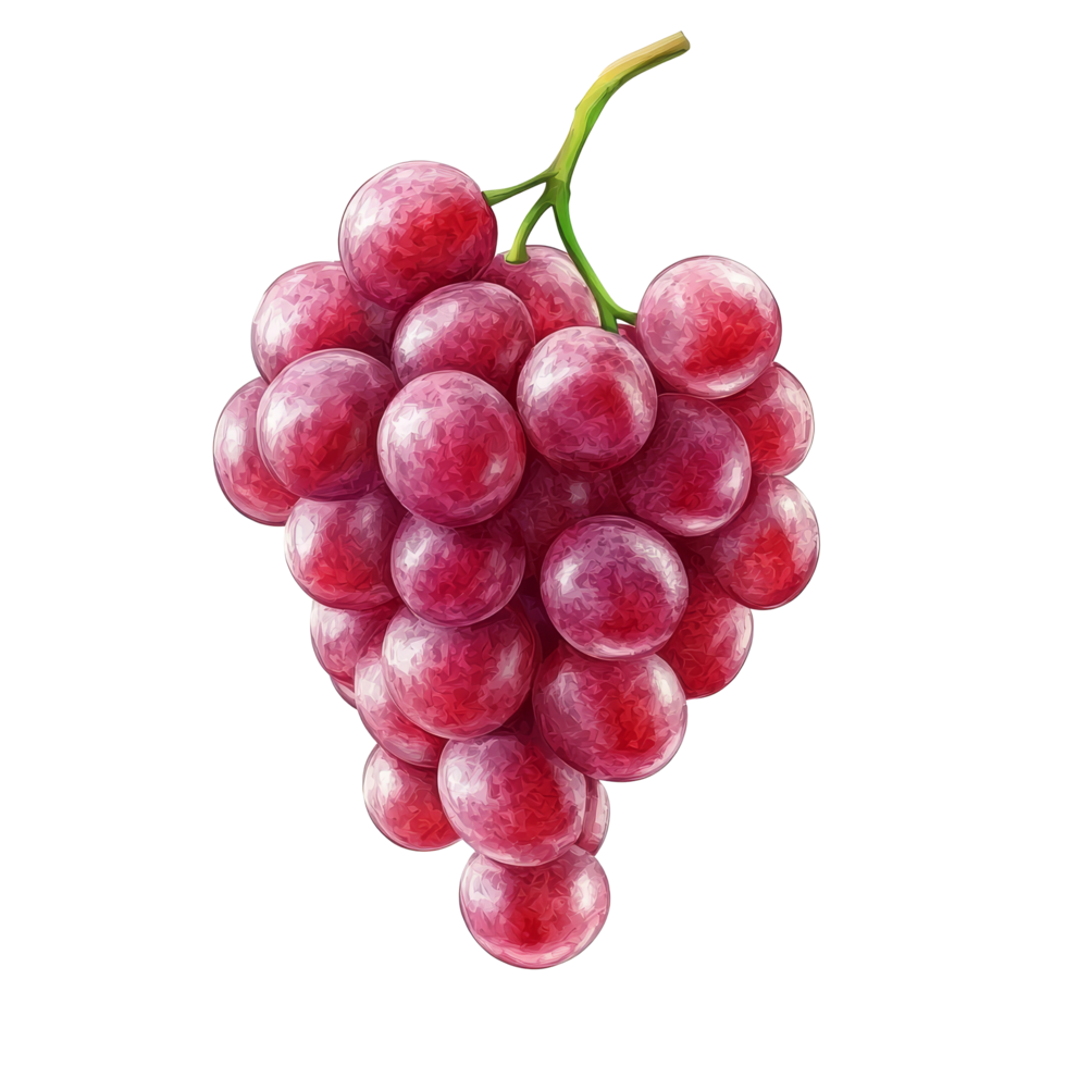 Fresh red grape bunch isolated on a transparent background showcasing its vibrant color and plump texture in natural light, Ripe red grape isolated on transparent background png