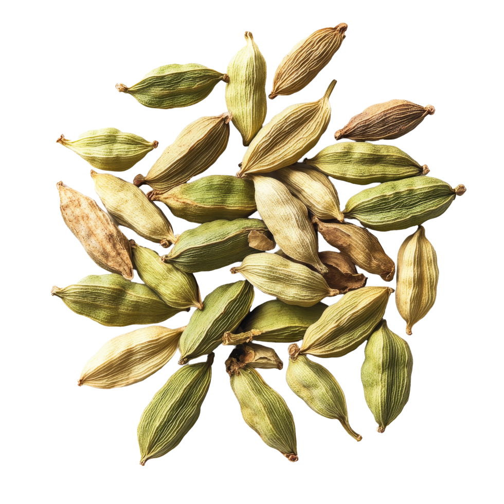 Variety of cardamom pods arranged on a transparent background showcasing their unique shapes and colors for culinary use, cardamom on transparent background png