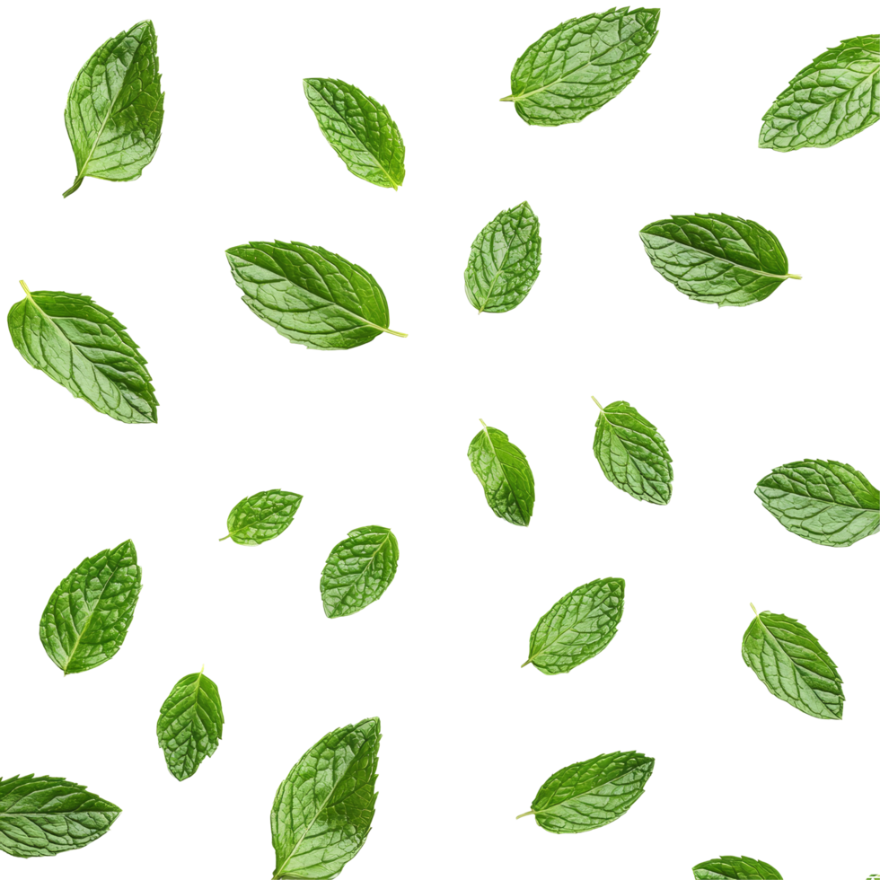 Fresh mint leaves scattered on a transparent background for culinary and decorative uses, Fresh mint leaves pattern isolated on transparent background png