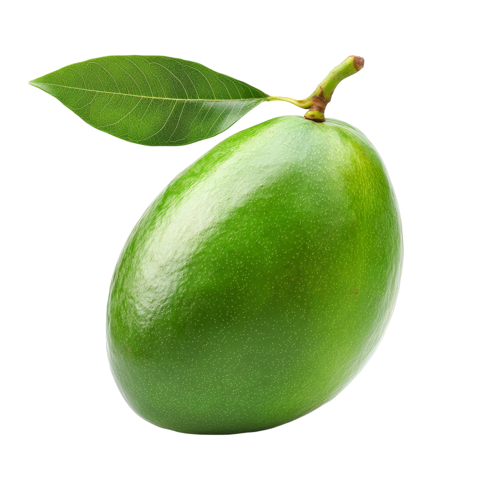 Fresh green mango with a leaf isolated on a bright transparent background showcasing its vibrant color and ripe texture, green mango isolated on transparent background png