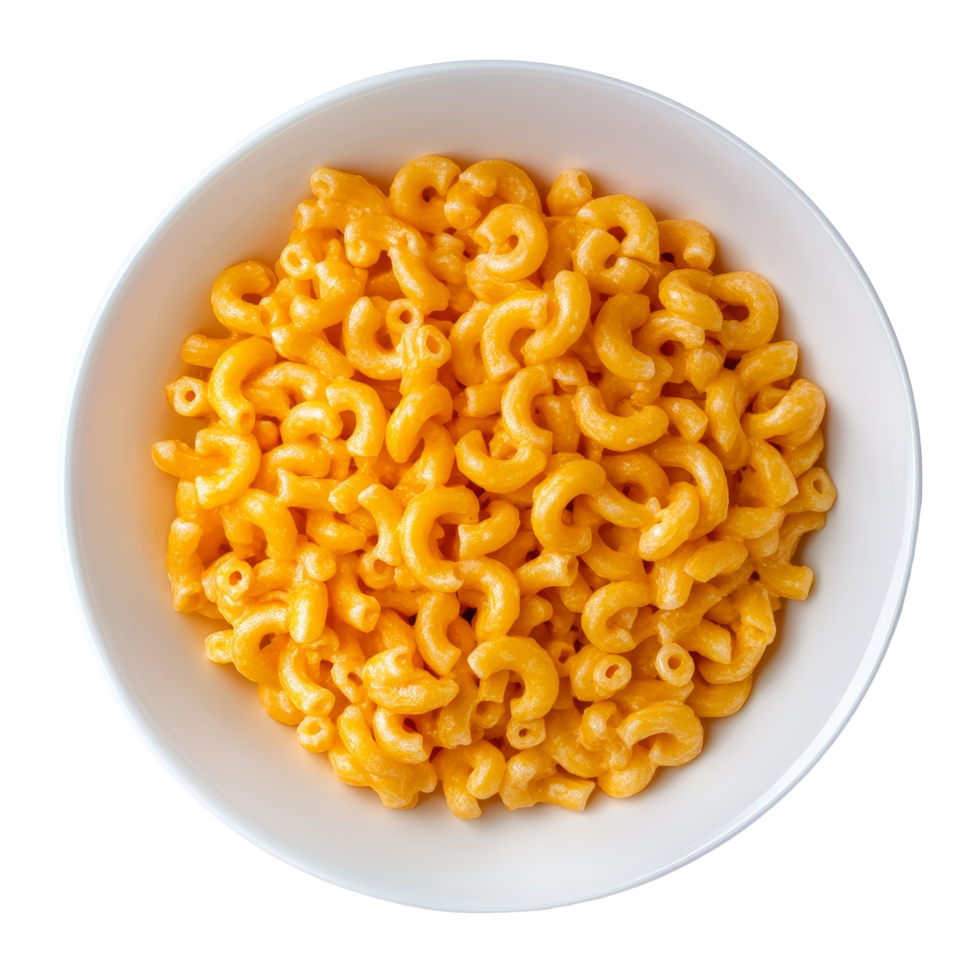 Dry macaroni pasta in a transparent plate arranged neatly on a clean background ready for cooking or recipes, dry macaroni in a plate on transparent background png