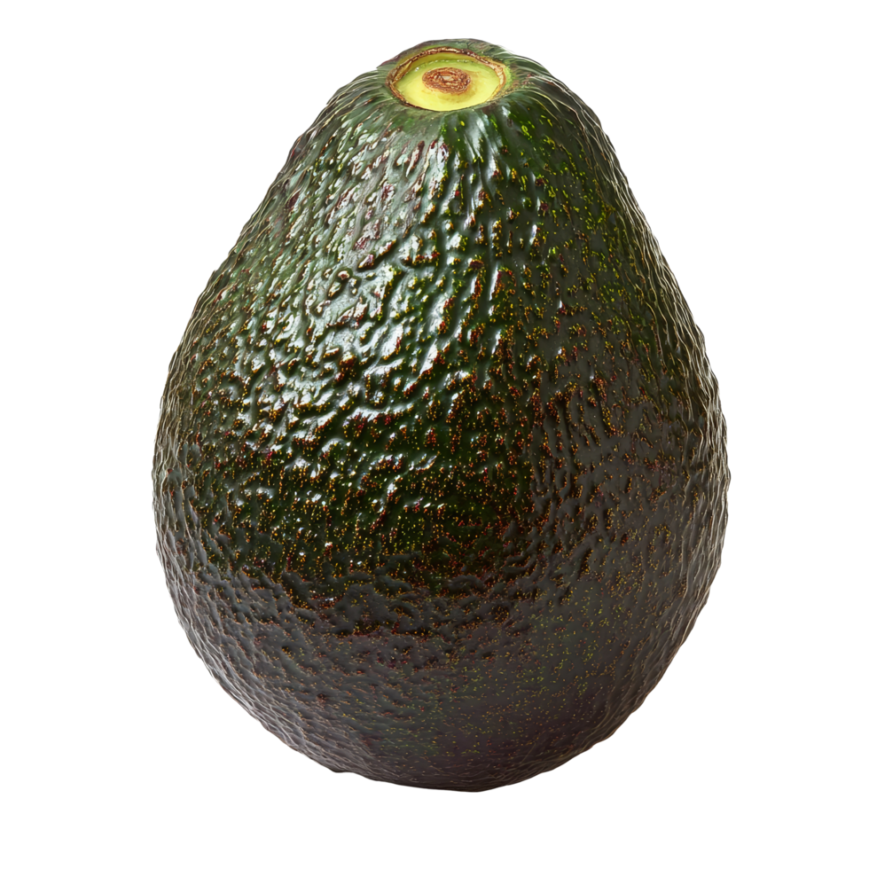 Fresh avocado isolated on a plain background, showcasing its smooth, textured skin and vibrant green color, Fresh avocado isolated png