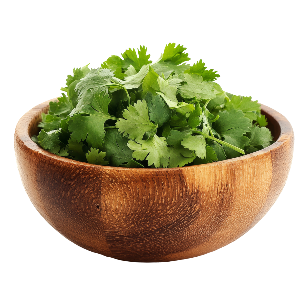 Fresh coriander leaves in a wooden bowl set against a clean transparent background for culinary use and presentation, coriander leaf in wood bowl isolated on transparent background png