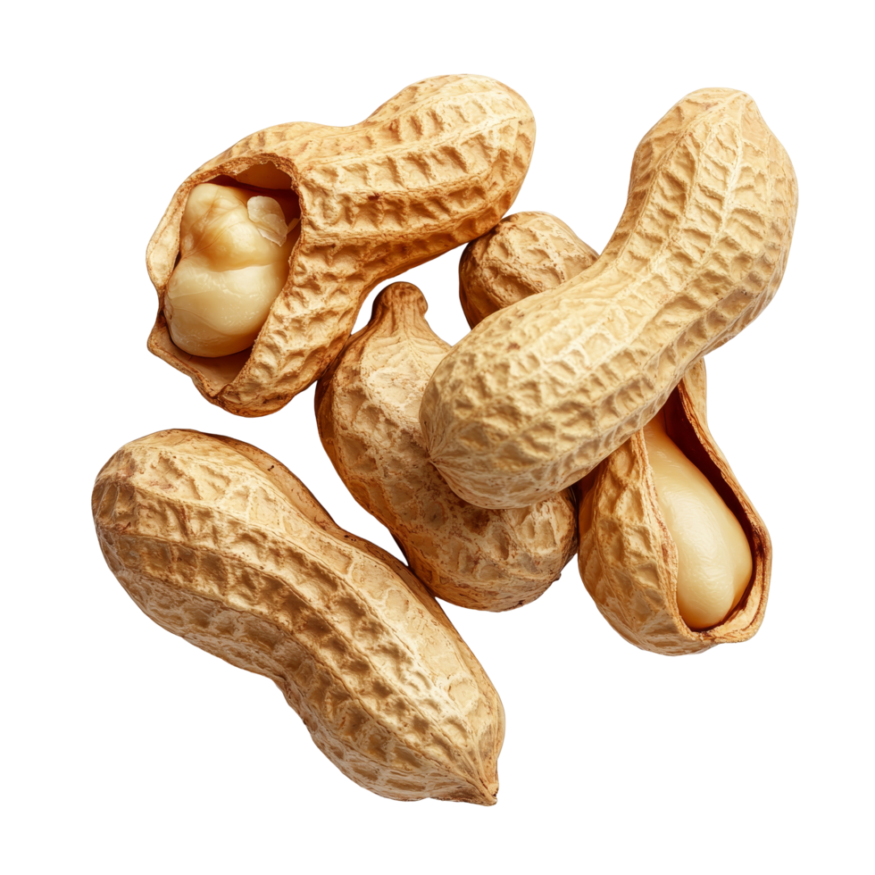 Group of raw peanuts in their shells isolated on a clean transparent background for culinary and snacking purposes, Group of peeled and unpeeled peanuts isolated on transparent background png