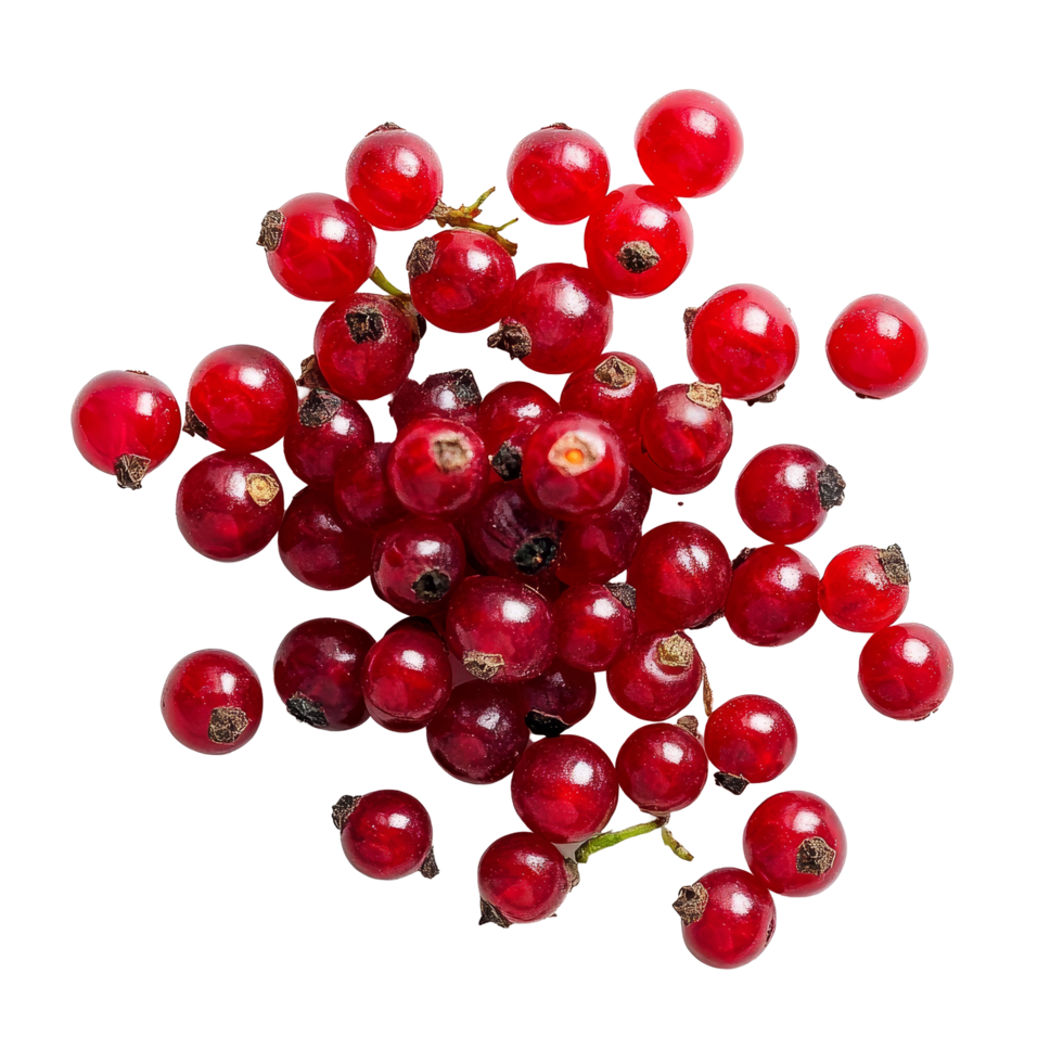 Bengal currants known as Carissa carandas Linn on a transparent background showcasing their vibrant red color, Carissa carandas Linn or Bengal currants on transparent background png