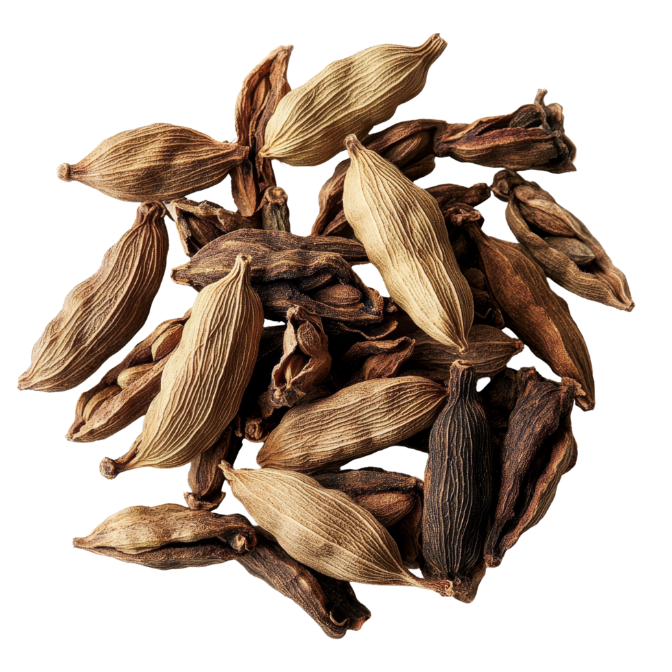 Fresh cardamom pods displaying their unique textures and colors against a clean transparent background for culinary uses, cardamom on transparent background png