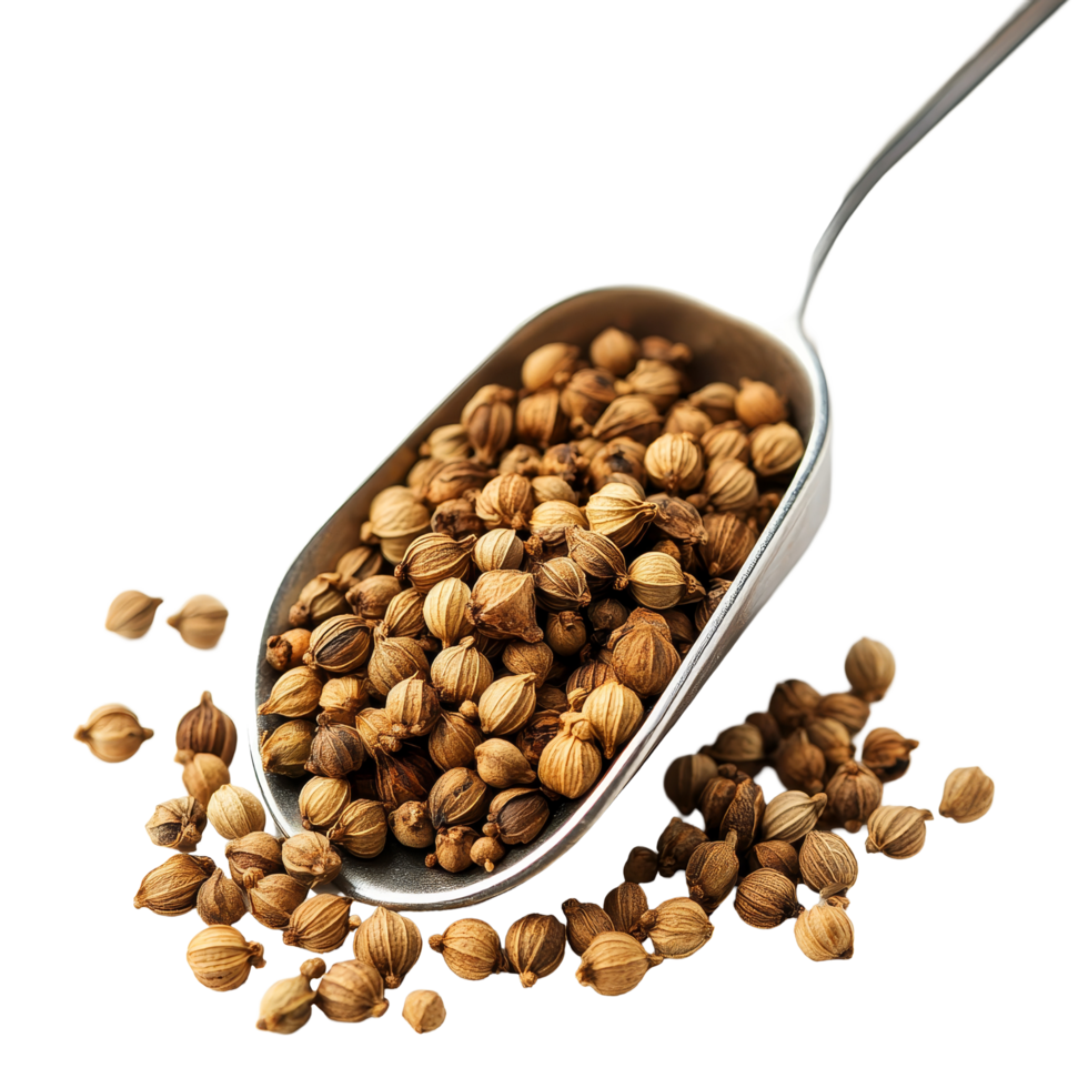 Scoop filled with coriander seeds resting on a clean transparent background highlight the spices unique texture and aroma, Coriander seeds in scoop isolated on transparent background png