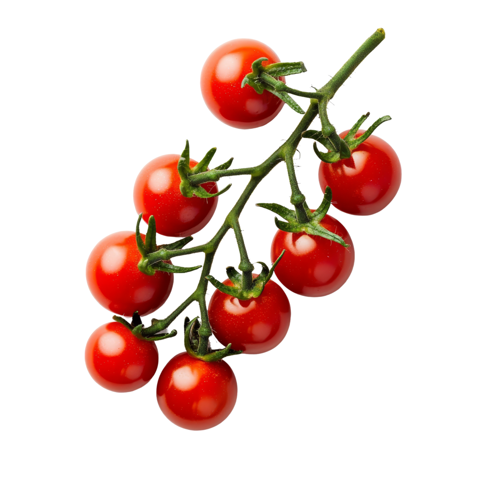 Fresh cherry tomatoes on a green vine isolated against a clean transparent background showcasing their vibrant red color, red cherry tomatoes isolated on transparent background png