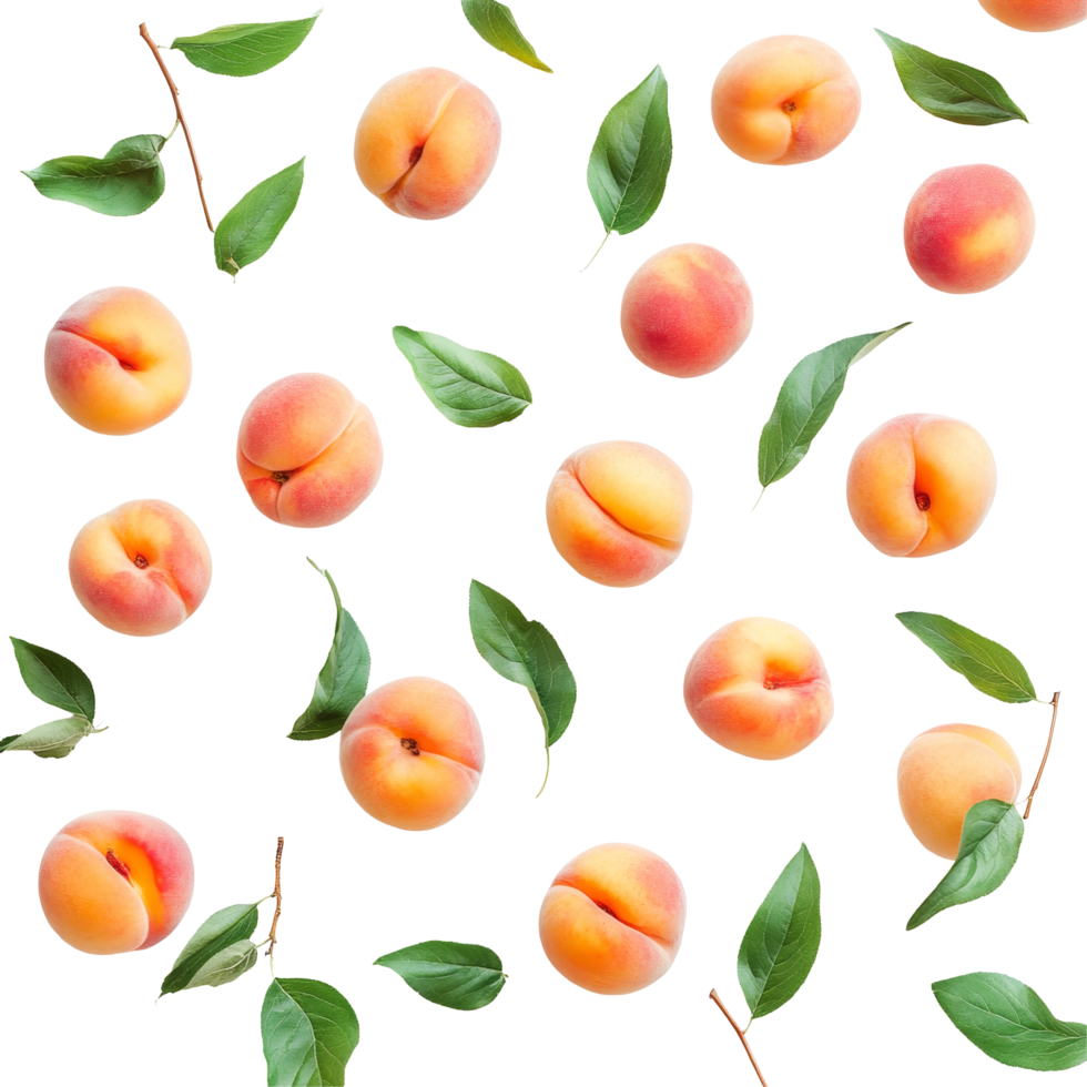 Flat donut peaches arranged artistically on a clean transparent background in natural light, flat donut peaches on transparent background png
