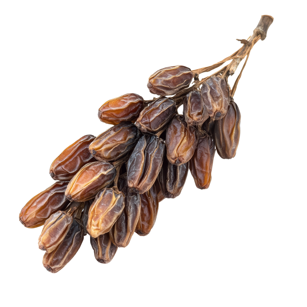Dried date palm bundle isolated on a transparent background showcasing natural textures and rich coloration, Dried date palm isolated on transparent background png