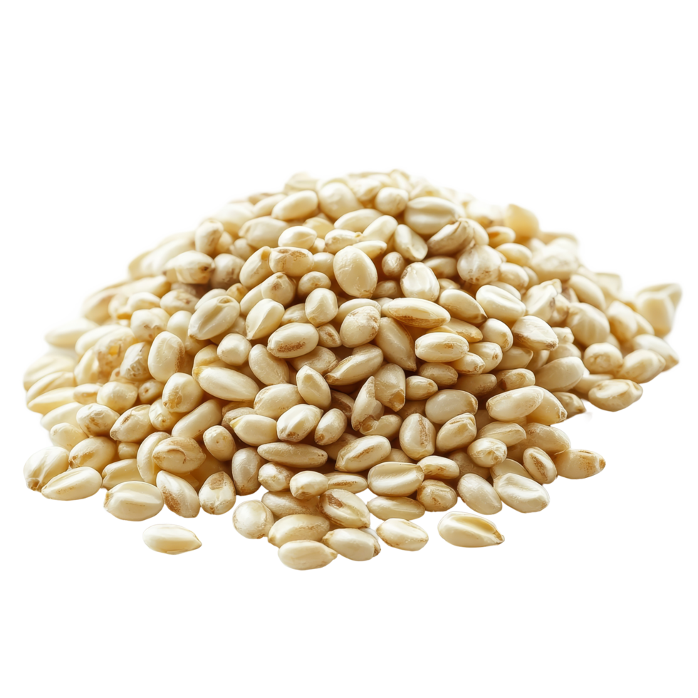 A pile of uncooked pearl barley grains on a transparent background, highlighting their light color and unique shape, pile of pearl barley on transparent background png