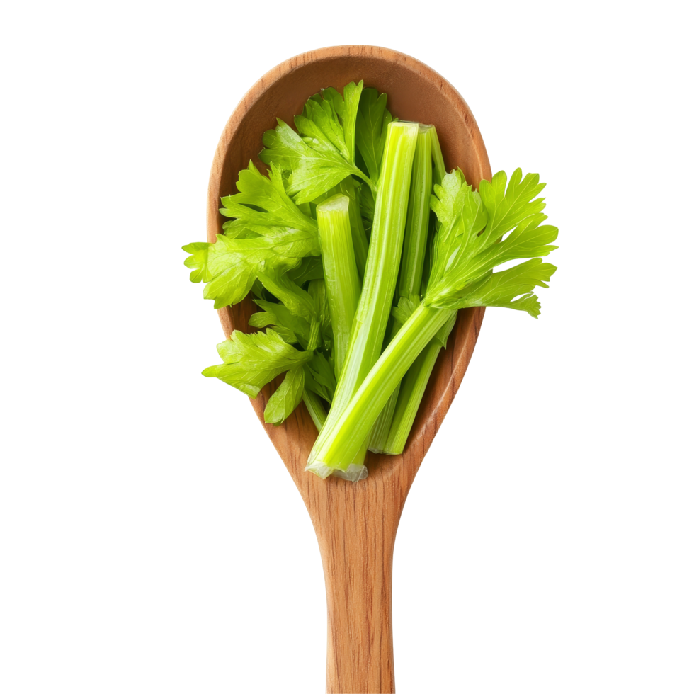 Fresh celery leaves arranged neatly in a wooden spoon isolated against a transparent background for culinary use and presentation, Celery leaves in wood spoon isolated on transparent background png