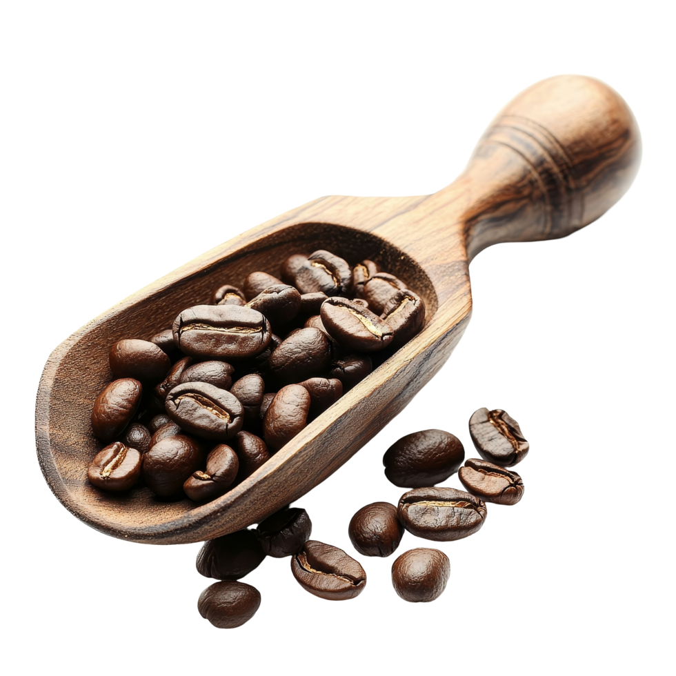 Wooden scoop filled with fresh roasted coffee beans on a transparent surface, Coffee beans on wooden scoop isolated on transparent background png