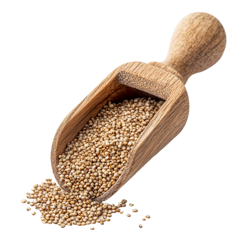 Quinoa seeds spilling from a wooden scoop against a clean transparent background, Quinoa seeds in wood scoop on transparent background png