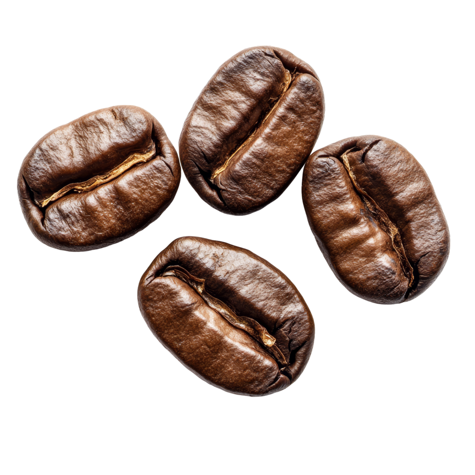 Highquality coffee beans displayed on a clean transparent background for a fresh and inviting look, coffee beans isolated on transparent backgroundfile png