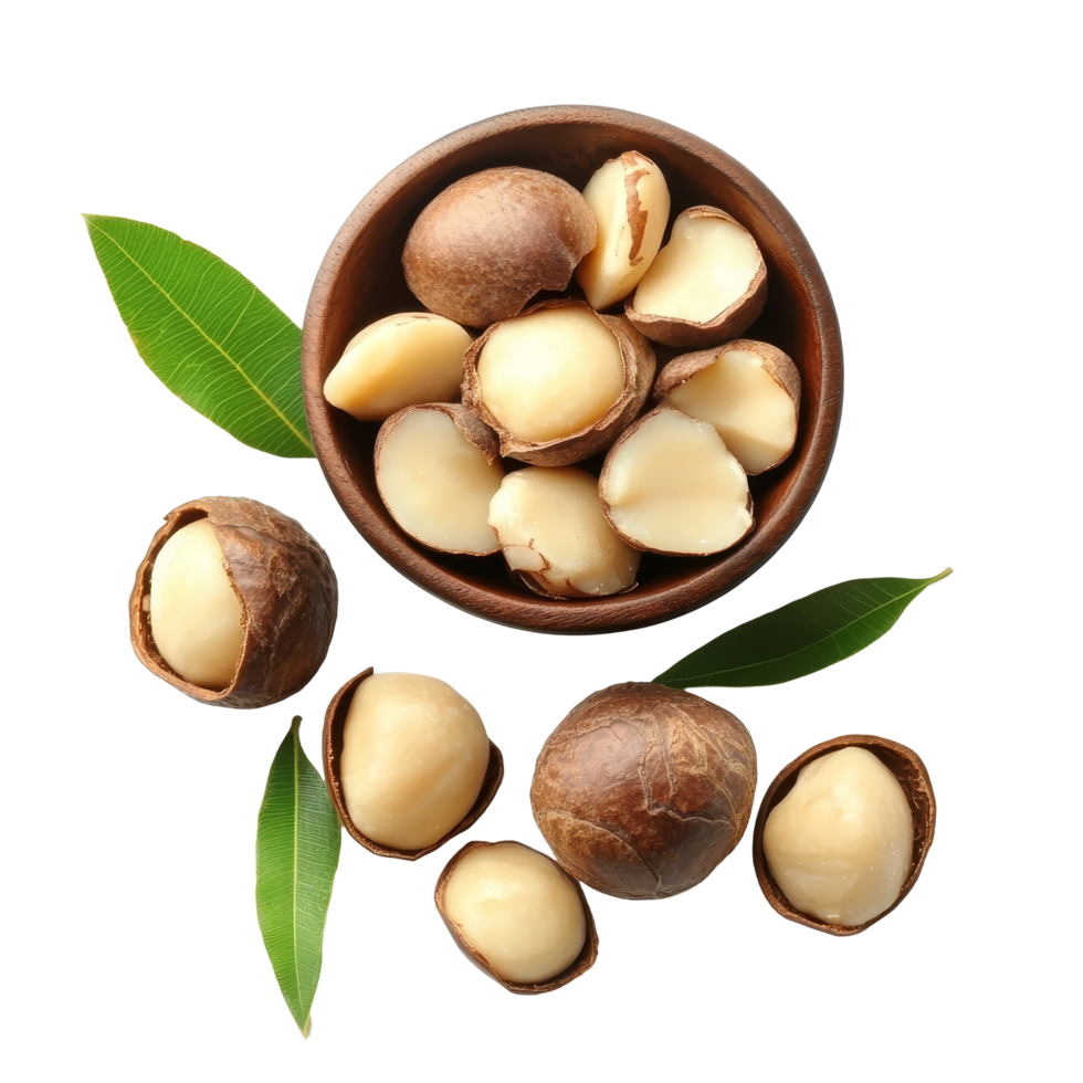 Fresh macadamia nut seeds arranged in a decorative bowl with green leaves on a transparent background, Macadamia nut seeds isolated on transparent background png