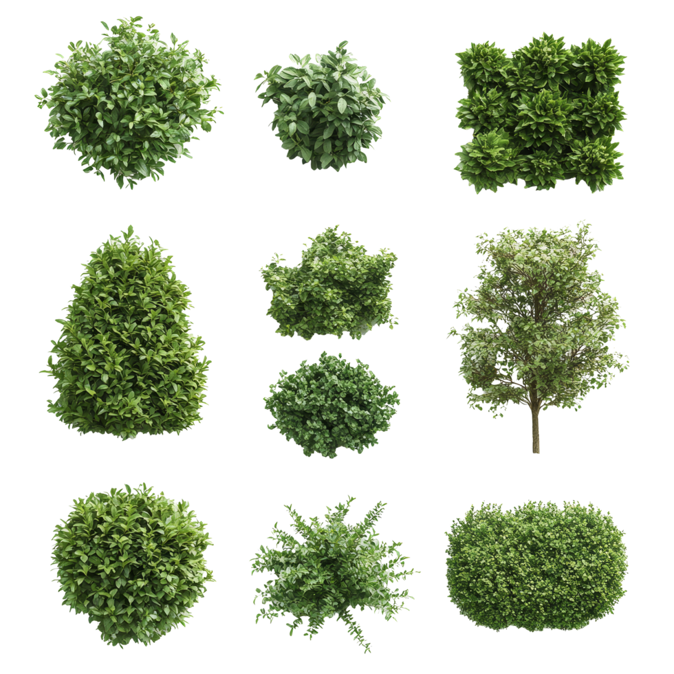 Lush green bushes in various shapes arranged on a transparent background showcasing natures versatility, Lush Green Bushes of Different Shapes on transparent background png