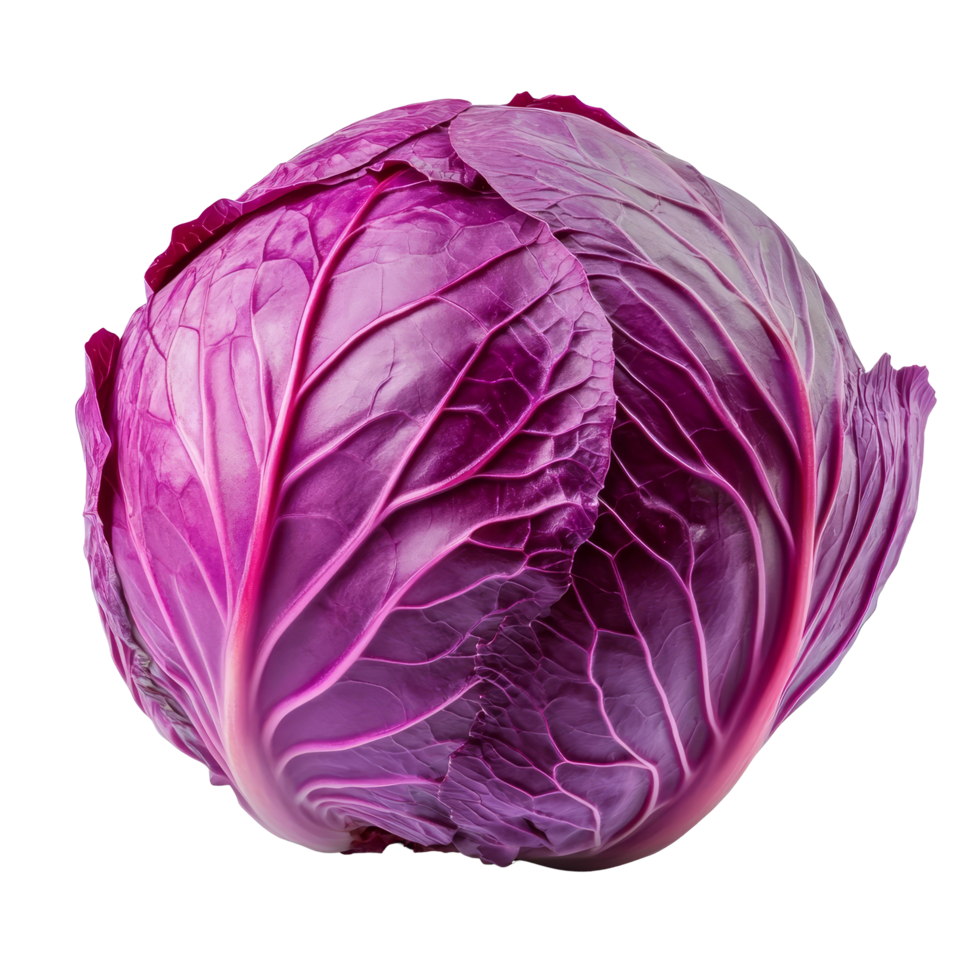 Fresh red cabbage isolated on a clean transparent background, perfect for showcasing vibrant color and healthy eating, Red cabbage isolated on transparent background png