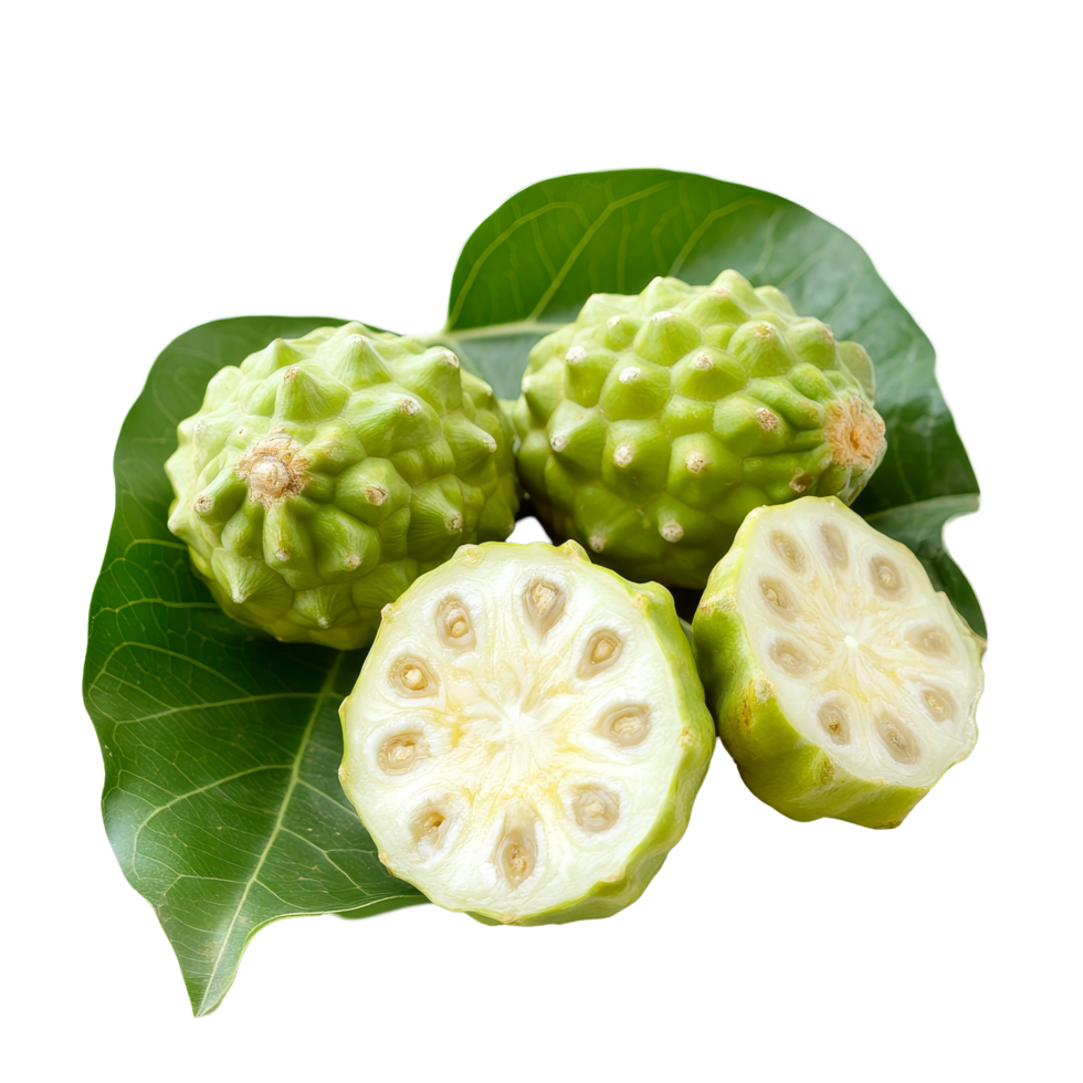 Fresh noni fruit with leaves on a clean transparent background showcasing its unique texture and natural beauty, Noni with leaf on transparent background png