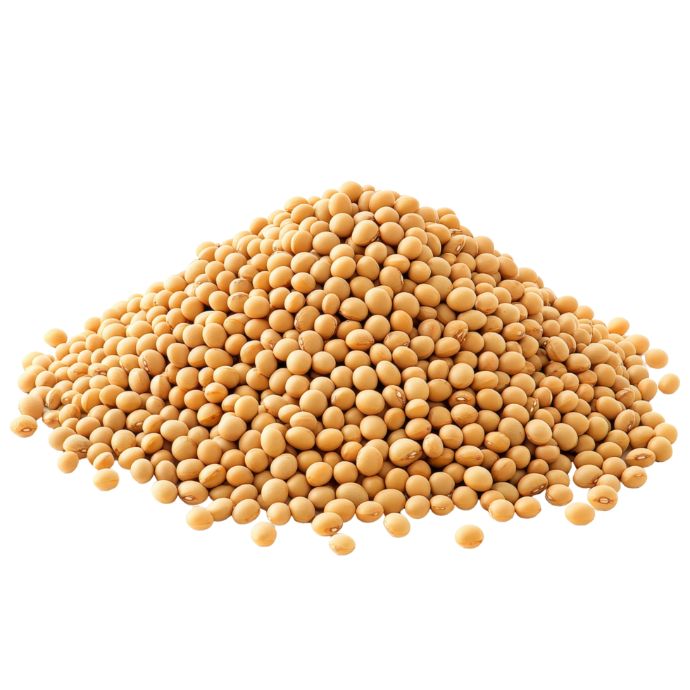 A closeup view of a heap of soybeans isolated on a clean transparent background showcasing their texture and color, Heap of soybeans isolated png